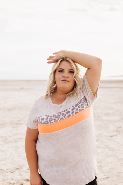 Cheetah Waffle Knit Top