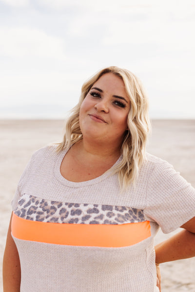 Cheetah Waffle Knit Top