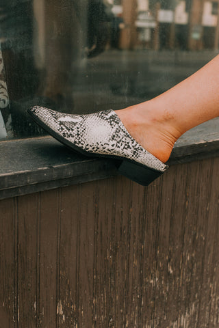 Snake Skin Mule Shoes